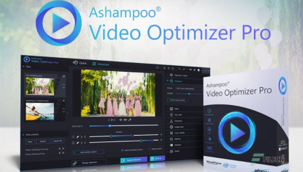 Ashampoo Video Optimizer Pro 2 download