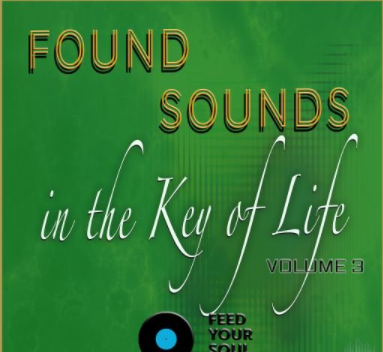 Feed Your Soul Music Found Sounds Vol.3 Sounds in The Key of Life
