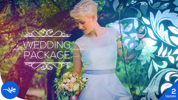 Videohive – Wedding Package V2 – 22669041