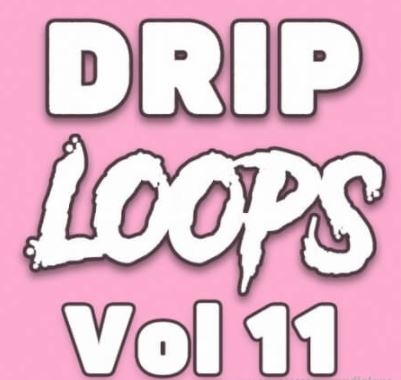 DiyMusicBiz Drip Loops Vol.11 [WAV] (Premium)
