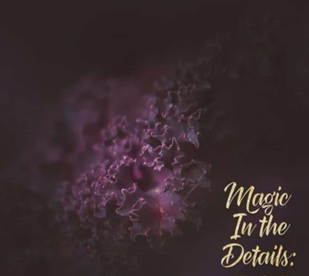 Meg Bitton Live — Magic in the Details