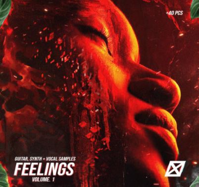 nofuk FEELINGS Vol.1 guitar + vocal + synths library WAVE