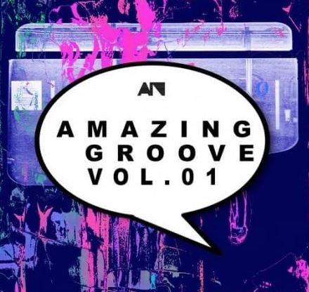 About Noise Amazing Groove Vol.01 [WAV] (Premium)