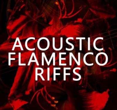 Blackwood Samples Acoustic Flamenco Riffs [WAV] (Premium)