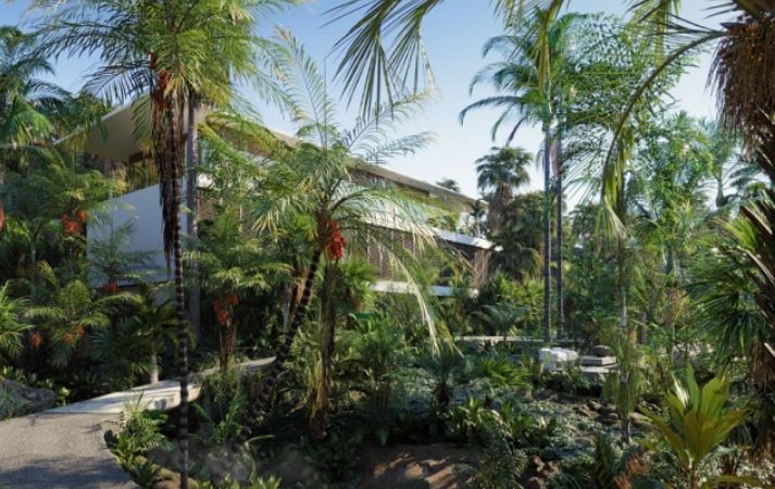 Globe Plants – Bundle 15 – Palm World (Premium)