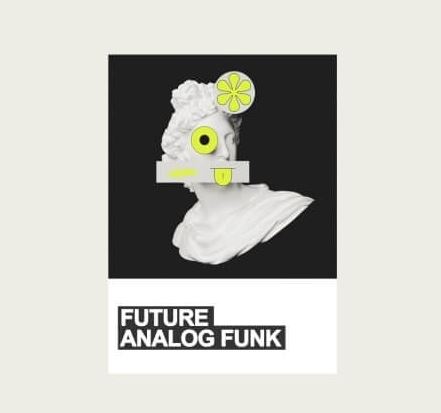 Samplestar Future Analog Funk [WAV]