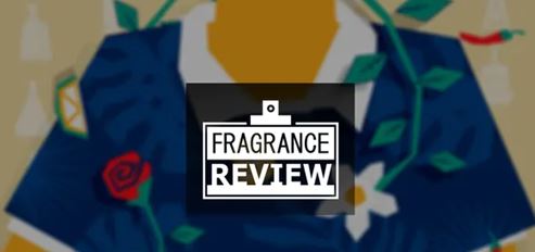 Videohive Fragrance Review Logo 28739354