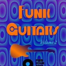 Feed Your Soul Music Funk Guitars Volume 2 (Premium)