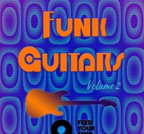 Feed Your Soul Music Funk Guitars Volume 2 [WAV]