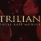 Spectrasonics Trilian v1.6.0f [WiN] (Premium)