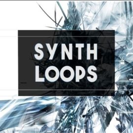 BFractal Music Synth Loops [WAV] (Premium)