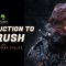 Introduction to ZBrush with Justin Goby Fields (Premium)