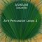 Riemann Kollektion ASHRAM Afro Percussion Loops 3 [WAV] (Premium)