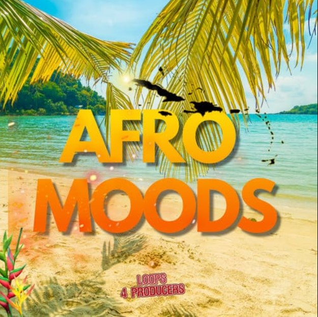 Loops 4 Producers Afro Moods [WAV]