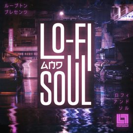 Looptone Lo-Fi And Soul [WAV] (Premium)