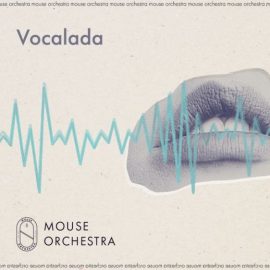 Mouse Orchestra Vocalada [WAV] (Premium)