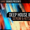 Surge Sounds Deep House II [WAV, MiDi, Synth Presets] (Premium)