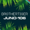 Roland Cloud JUNO-106 Brothertiger EXPANION v1.0.0 [Synth Presets] (Premium)