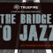 Truefire TrueFire’s The Bridge to Jazz [TUTORiAL]  (premium)