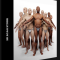 3D SCAN STORE – 10 X ANIMATION READY BODY SCAN PACK (Premium)