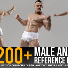 ARTSTATION – 200+ MALE ANATOMY REFERENCE PICTURES BY GRAFIT STUDIO (premium)
