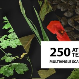 ArtStation Marketplace – Huge atlas pack (250) / Foliage / Spice / Decals (Premium)