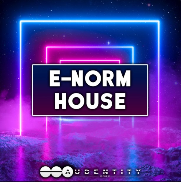 Audentity Records E-Norm House [WAV, Synth Presets]