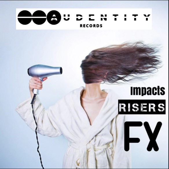 Audentity Records FX Impacts Risers [WAV]