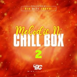 Big Citi Loops Melodic N Chill Box 2 [WAV] (Premium)