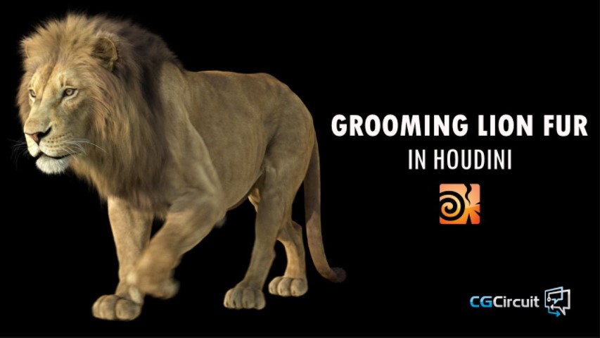 CGCIRCUIT – GROOMING LION FUR IN HOUDINI