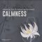 Famous Audio Calmness Healing Zen and Relaxing Ambient [WAV] (Premium)