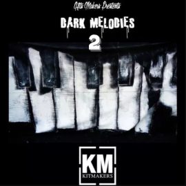 Kit Makers Dark Melodies 2 [WAV] (Premium)