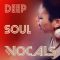 HQO Deep Soul Vocals [WAV] (Premium)