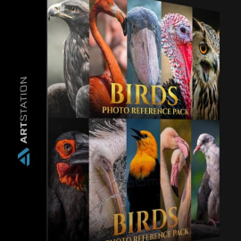 ARTSTATION – BIRDS REFERENCE PACK FOR ARTISTS 828 JPEGS BY SATINE ZILLAH (Premium0