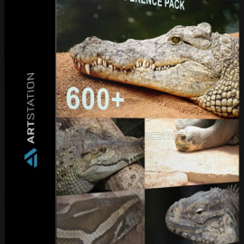 ARTSTATION – 600+ REPTILES – PACK REFERENCES BY THEO BAUDOIN (Premium)