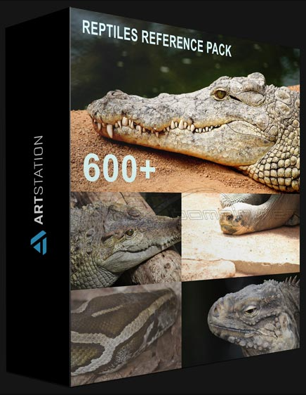 ARTSTATION – 600+ REPTILES – PACK REFERENCES BY THEO BAUDOIN