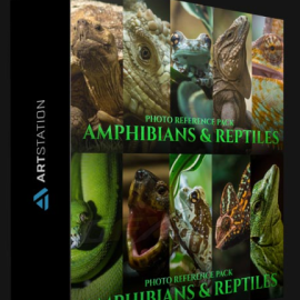 ARTSTATION – AMPHIBIANS & REPTILES – PHOTO REFERENCE PACK FOR ARTISTS 197 JPEGS BY SATINE ZILLAH (Premium)
