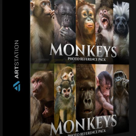 ARTSTATION – MONKEYS – PHOTO REFERENCE PACK FOR ARTISTS 159 JPEGS BY SATINE ZILLAH (Premium)