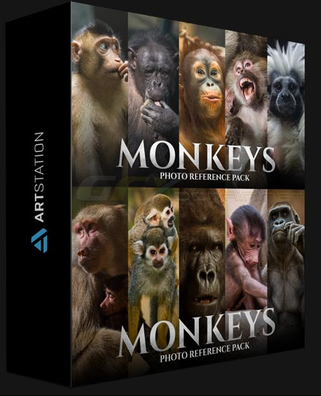 ARTSTATION – MONKEYS – PHOTO REFERENCE PACK FOR ARTISTS 159 JPEGS BY SATINE ZILLAH