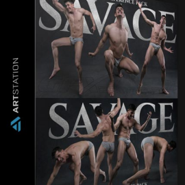 ARTSTATION – SAVAGE – PHOTO REFERENCE PACK FOR ARTISTS 901 JPEGS BY SATINE ZILLAH (Premium)