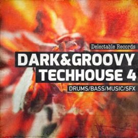 Delectable Records Dark And Groovy TechHouse 04 [WAV] (Premium)