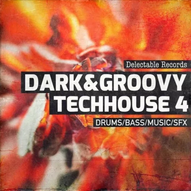 Delectable Records Dark And Groovy TechHouse 04 [WAV]
