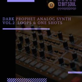 Divided Souls Dark Prophet Analog Synth Vol.2 [WAV] (Premium)