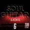 Tim TLee Waites Soul Guitar Licks 6 [WAV] (Premium)