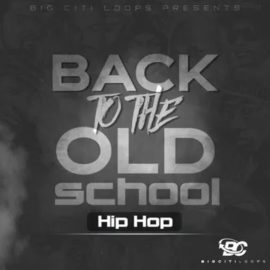 Big Citi Loops Back To The Old School: Hip Hop 5 [WAV] (Premium)