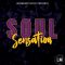 Blissful Audio Soul Sensation [WAV] (Premium)