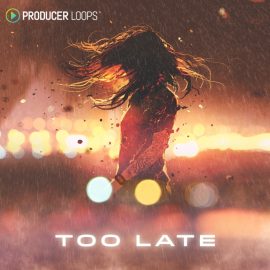 Producer Loops Too Late [MULTiFORMAT] (Premium)