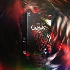 CARNAGE Drum Kit Error x Strmz [STANDARD] [WAV] (Premium)
