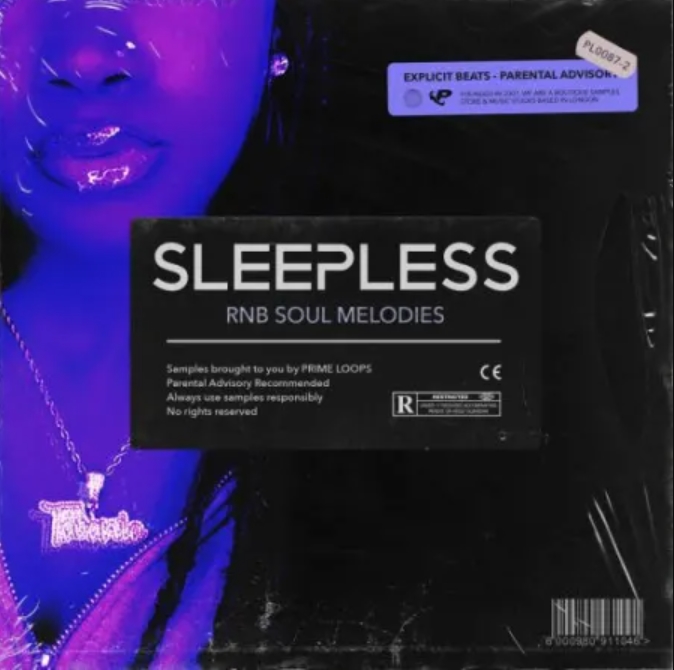 Prime Loops SLEEPLESS RnB Soul Melodies [WAV]