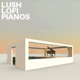 Diamond Sounds Lush Lofi Pianos [WAV] (Premium)